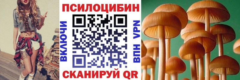 маркетплейс какой сайт  Шумерля  Галлюциногенные грибы MAGIC MUSHROOMS 
